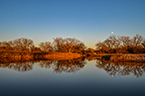 wetland